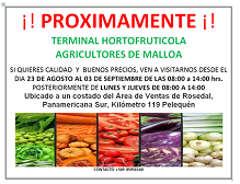 PROXIMAMENTE, TERMINAL HORTOFRUTICOLA AGRICULTORES DE MALLOA